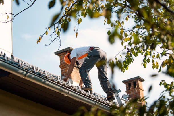 Best Roof Moss and Algae Removal  in Salem Lakes, WI