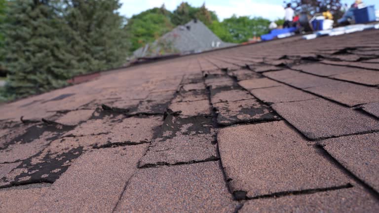Professional Roofing Service in Salem Lakes, WI