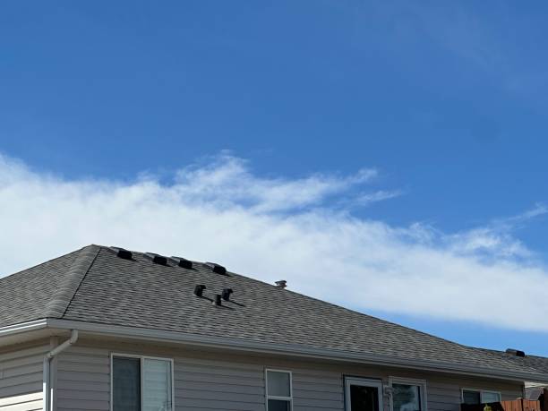 Best Chimney Flashing Repair  in Salem Lakes, WI